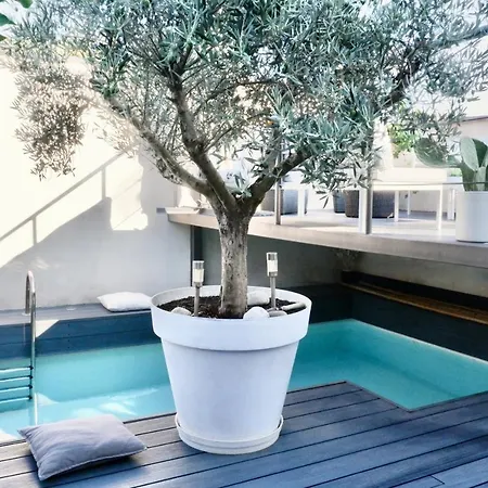 La Maison Blanche 5*, Piscine&vue Cité Médiévale Carcasona